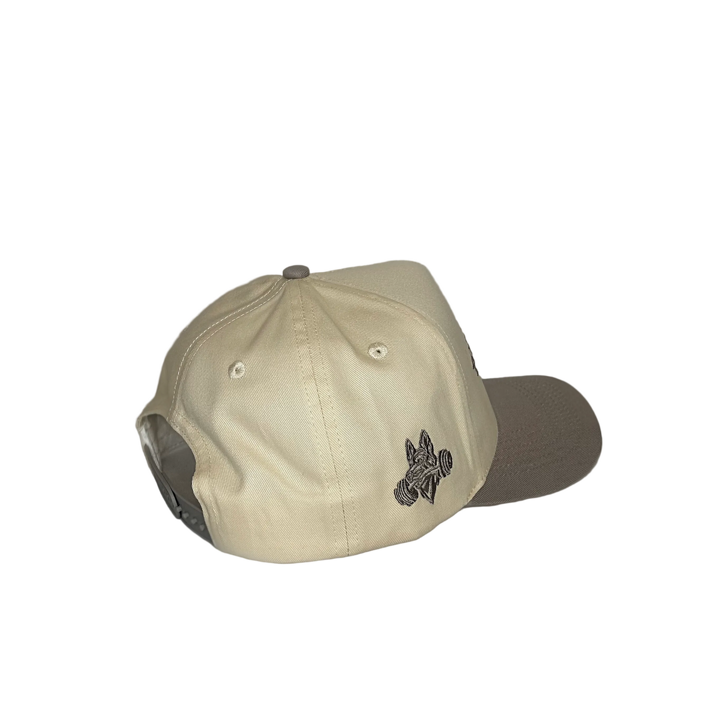 Ruff Iron Two-Tone Cap image 2
