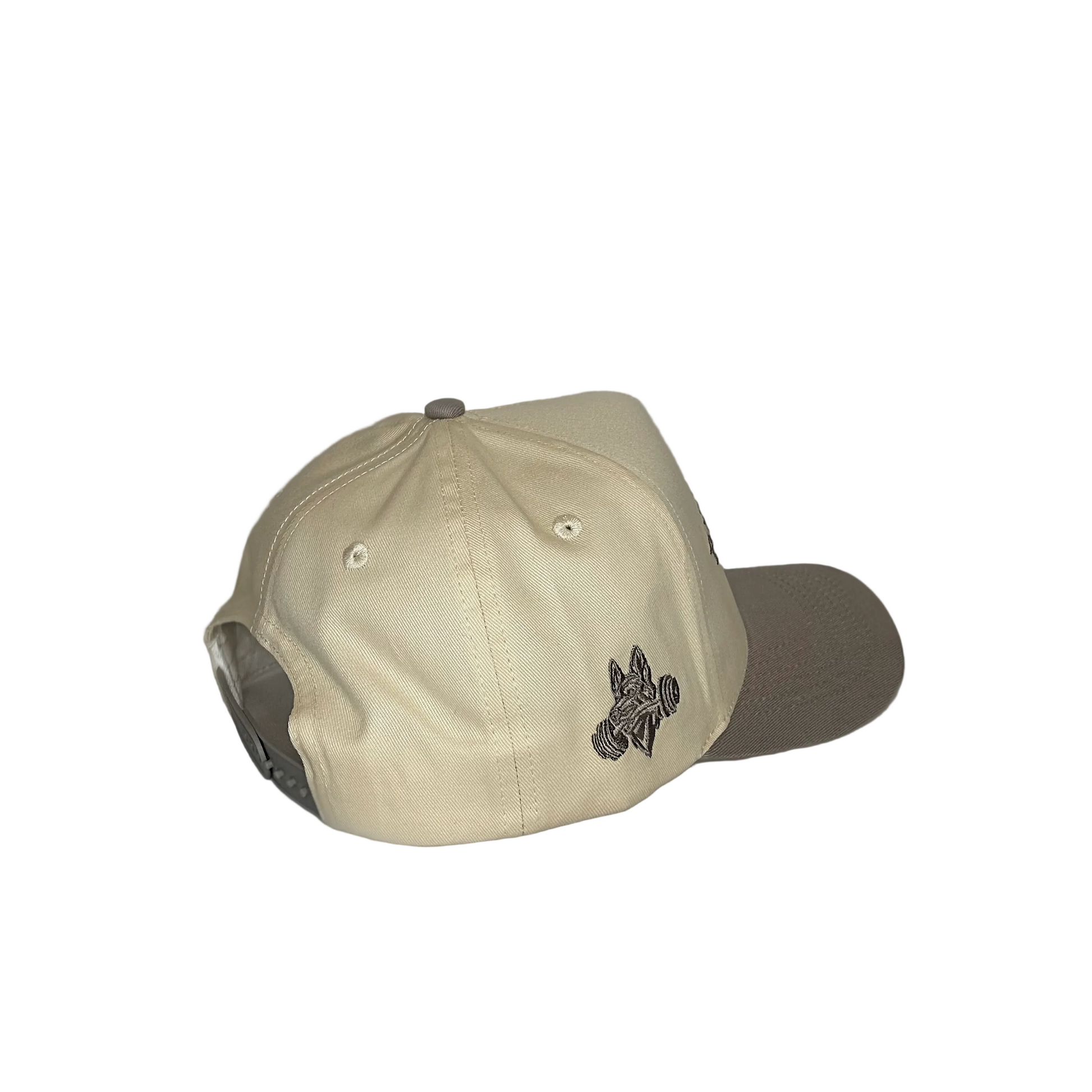 Ruff Iron Two-Tone Cap image 2